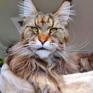 Meet your Posher, Debra